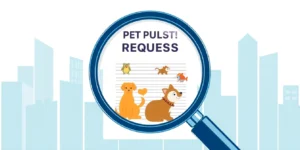 Landlords urged to move beyond personal opinions on pets.png AI generated image using Flux AI